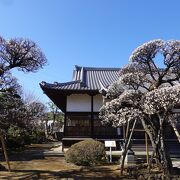 整然と美しいお寺でした