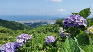 三ヶ根山