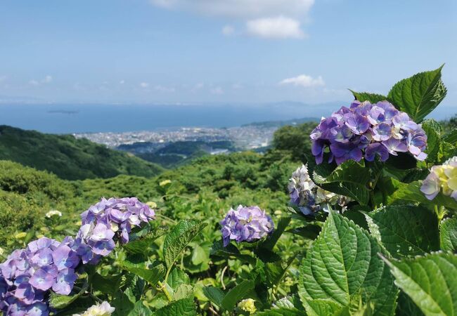 三ヶ根山