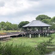 自然豊かな筑紫野の市民憩いの場