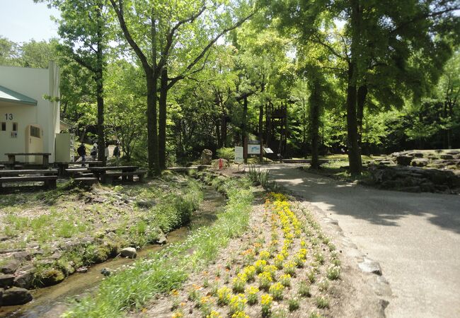 自然観察学習館とソラード（森の空中観察路）