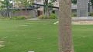 6月、籠田公園の芝生は青々としていました