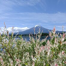 富士山は何処から写しても絵になりますね（＾＾）