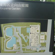 向山庭園は、練馬城のお濠を活用していますので、池が低い場所に