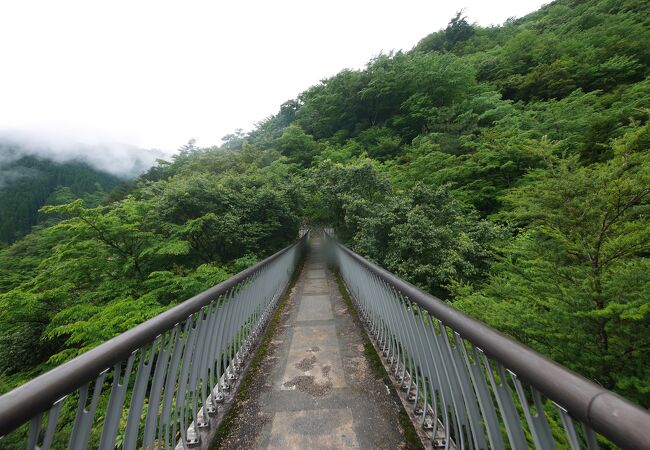 梅の木轟公園吊橋