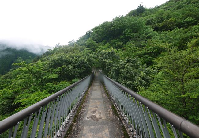 深山幽山にある吊橋　なかなかスリル．