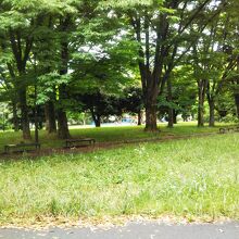 神奈川公園