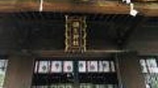 高台から見守る海老名の総鎮守様