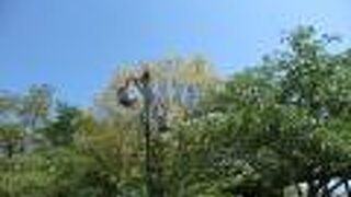 いろいろあります