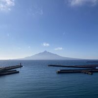 客室からの眺め