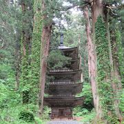杉並木の中、2446段の階段を登りました