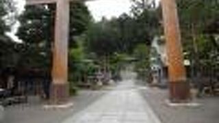 高山陣屋と桜山八幡宮が、添乗員さんのおすすめの観光スポットでした！