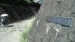 名前の通り、海側の眺望が心地よい