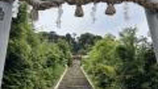 市内を一望できます