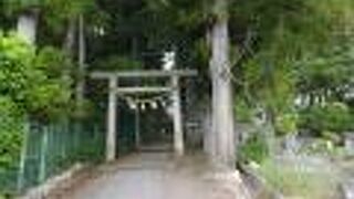 すごく雰囲気の良い遊歩道を歩きながら、お寺巡りができます。