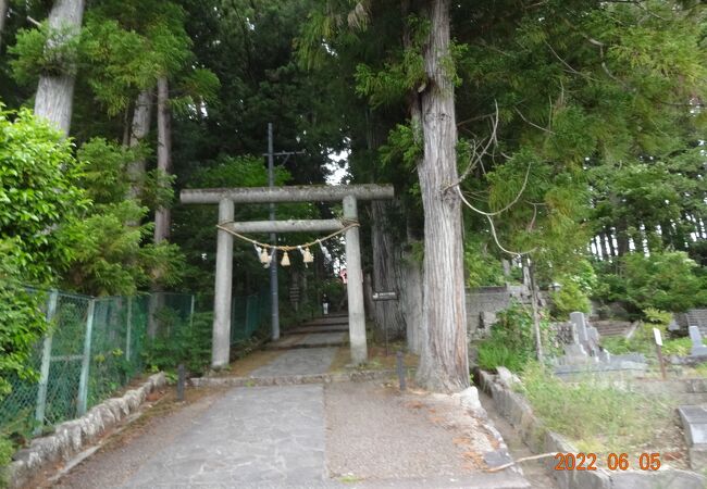 すごく雰囲気の良い遊歩道を歩きながら、お寺巡りができます。