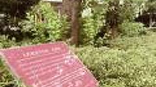 説明板が草むらに