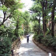  新宿散策(3)で新宿遊歩道公園・四季の路を歩きました