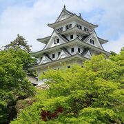 郡上八幡の城下町を一望