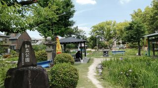 「花しょうぶ祭り」が開催