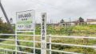 車窓の風景は最果て感があります。