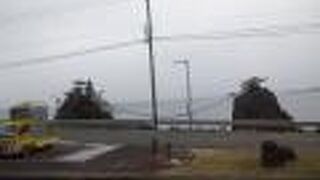 定期観光バス「わじま号」で行きました。