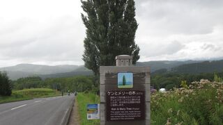 60歳以上の人には懐かしさのある「ケンとメリー」のCM から名づけられました。