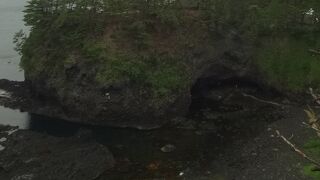 定期観光バスで行きました。