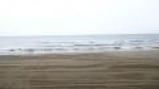 日本国内で唯一、車で走ることができる海岸なのだそうです。