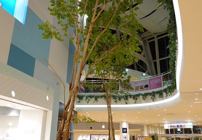 柏 流山のショッピングモール クチコミ人気ランキングtop7 フォートラベル 千葉県