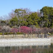 大きな池や日本庭園もあります