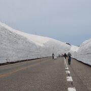 長年の夢　雪の大谷