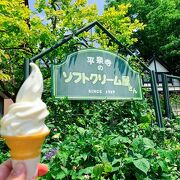 白山平泉寺の参拝帰りに立ち寄れる、美味しいソフトクリーム屋さん