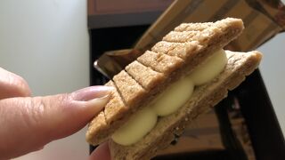 たっぷりショコラサンド横綱