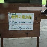 広くて自然豊かな公園