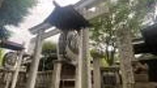 鉄砲洲稲荷神社♪