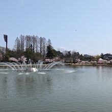開成山公園 / Kaiseizan Park