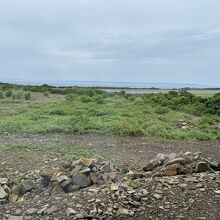 窓の向こうに滑走路と海と種子島