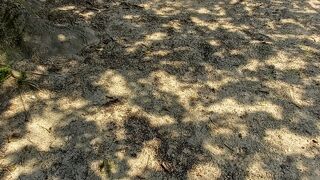 原爆投下について丁寧に教えてくれました。