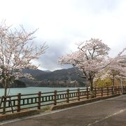 １９５９年、相俣ダム建設によってできた人口湖です。桜が綺麗でした。