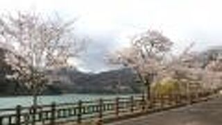 １９５９年、相俣ダム建設によってできた人口湖です。桜が綺麗でした。