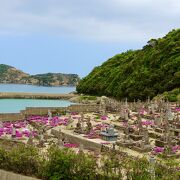 綺麗な海に臨む墓地