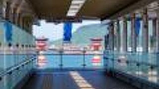 どこから眺めても絵になります