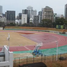 色とりどりのフィールドです