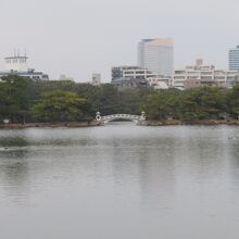 鳥ものんびりしています