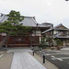 この松が素敵です