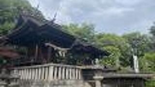 美観地区が見えます