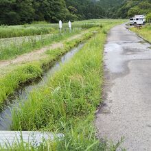 懐かしく、きれいな光景です。