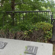 鴨川　三条大橋西詰南側