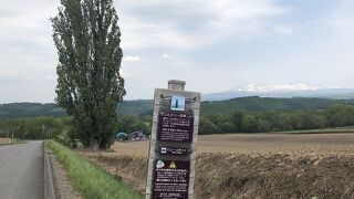 近くで見ると迫力があります